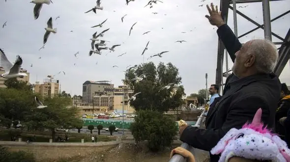  مشاهده ۳۱۷۶ قطعه پرنده در سرشماری پرندگان تهران