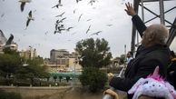  مشاهده ۳۱۷۶ قطعه پرنده در سرشماری پرندگان تهران