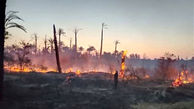ببینید / آتش‌سوزی در ۶ هکتار از نخلستان‌های رودان + فیلم
