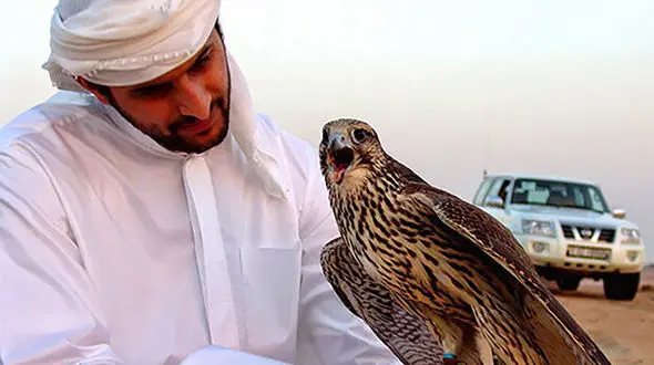 تفریح عرب های شیخ نشین با تحفه های قاچاق ایرانی