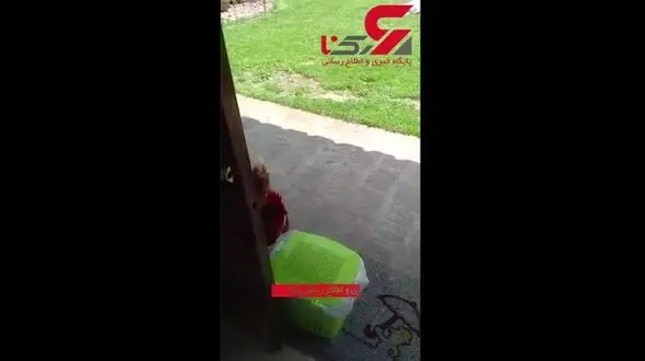 این مرغ می داند در خانه را چظور باز کند!+فیلم