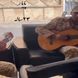 آواز احساسی؛ سرباز دلشکسته برا عشقش منو ول نکنی تو تنهایی خوند جیگرت خون میشه