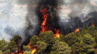 علت آتش سوزی در جنگل های شمال کشور / آتش به مازندران و گلستان رسید
