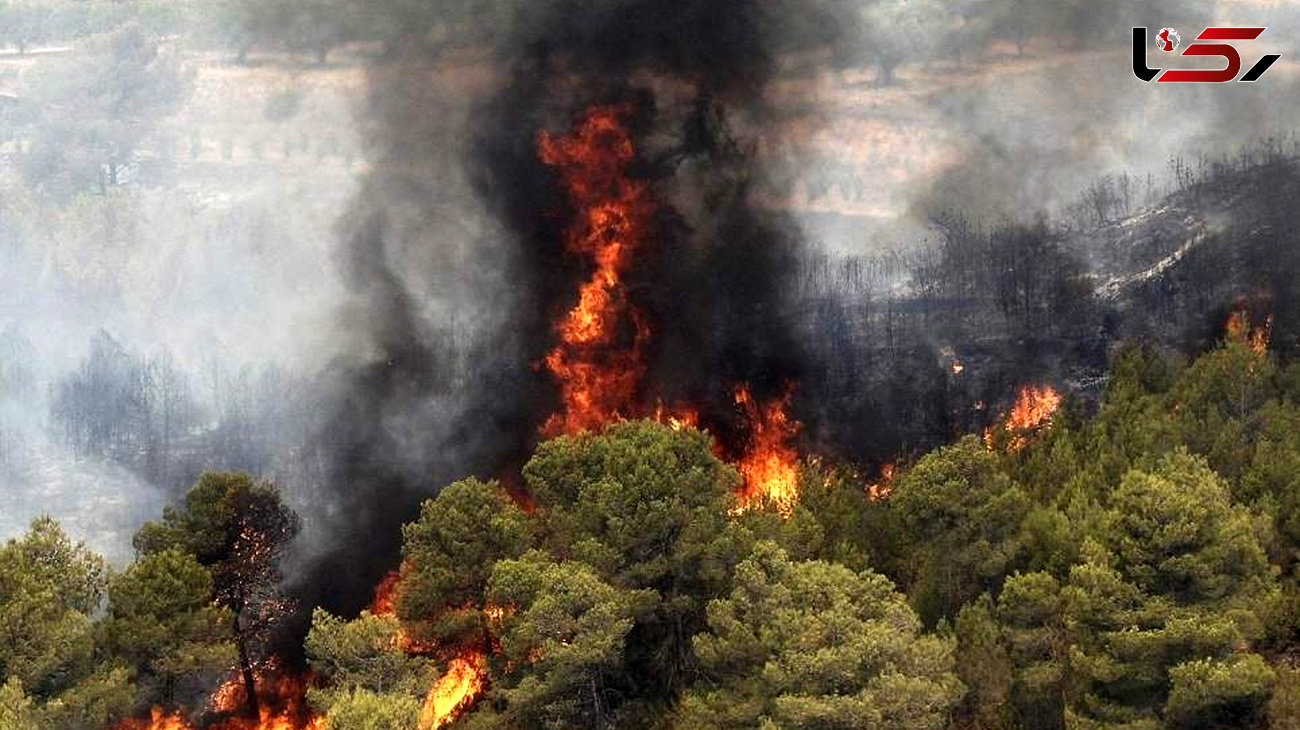 علت آتش سوزی در جنگل های شمال کشور / آتش به مازندران و گلستان رسید