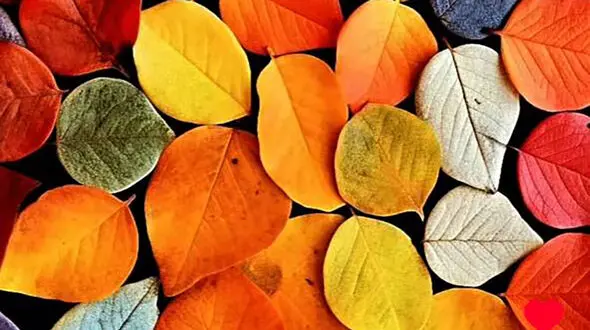 فال ابجد 17 آبان 1403 + فیلم