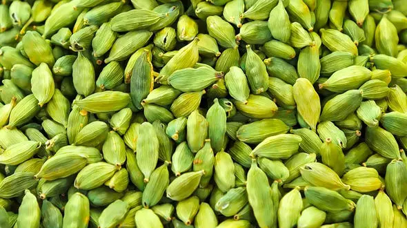 با این روش کاملا از بوی بد دهان خود راحت می شوید!