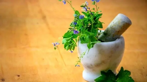 پیشگیری از یائسگی زودرس با این داروهای گیاهی