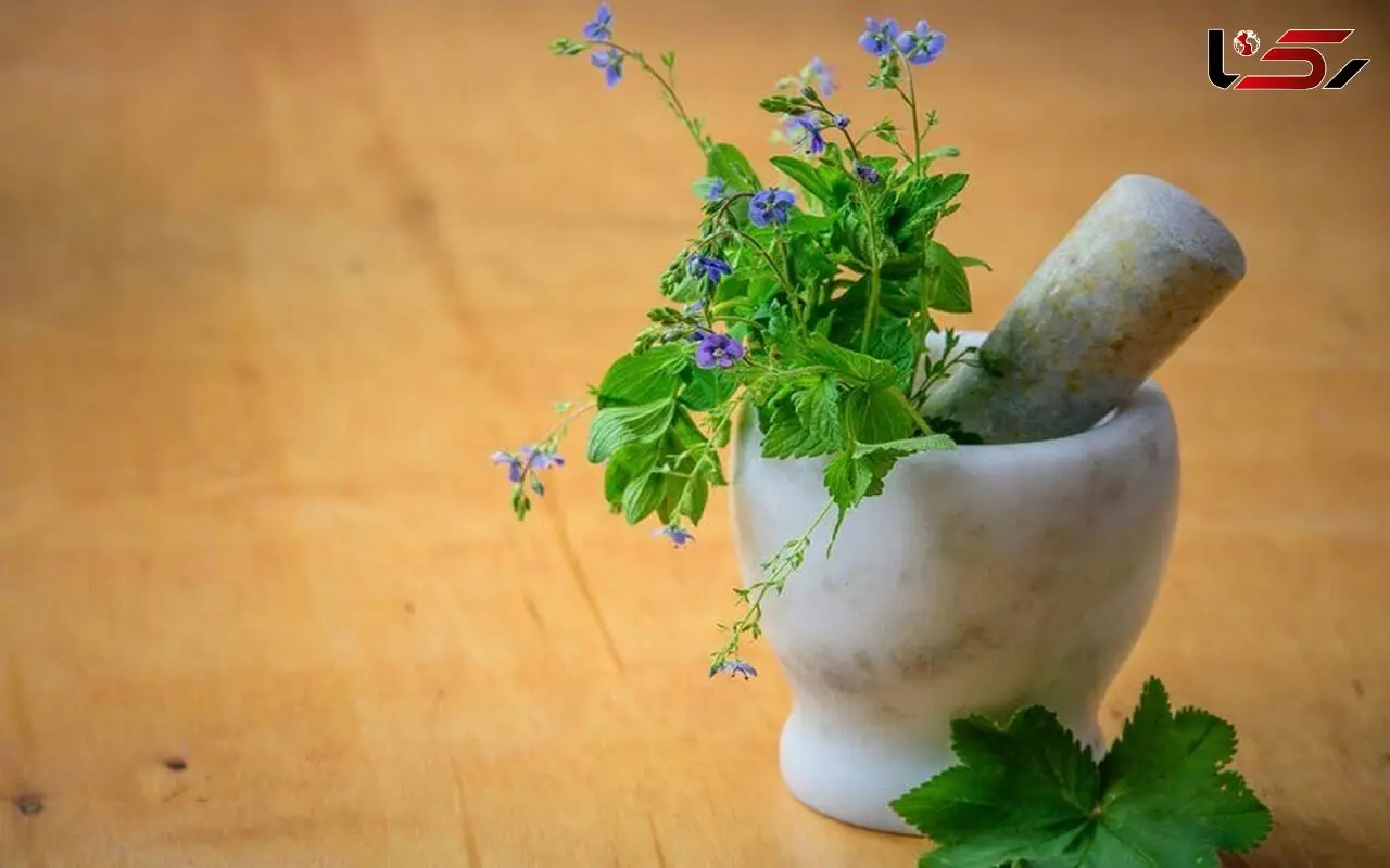 پیشگیری از یائسگی زودرس با این داروهای گیاهی