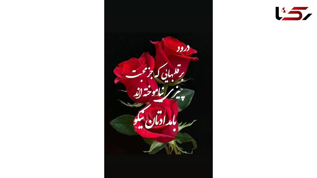 فال روزانه شخصی/ 20 مرداد ماه + فیلم