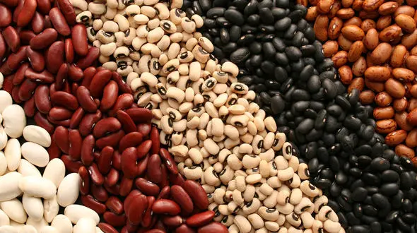 ببینید / کلکسیون عجیب از لوبیاهای رنگی  + فیلم 