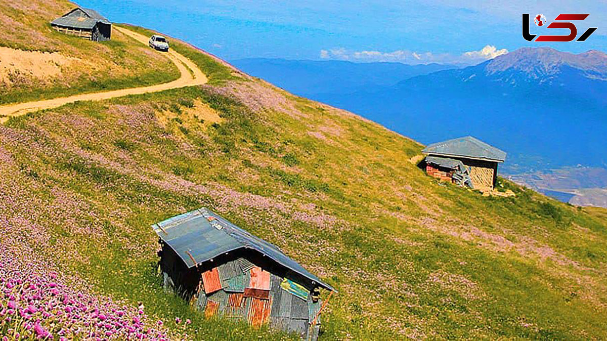ببینید / رقص ابرها در ارتفاعات رستم آباد  + فیلم