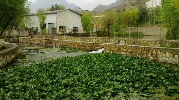 ثبت ملی سراب نیلوفر خرم آباد