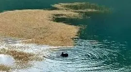 فیلم / مرگ دلخراش دختر جوان در دریاچه کیو خرم آباد / او به تنهایی قایق اجاره کرده بود