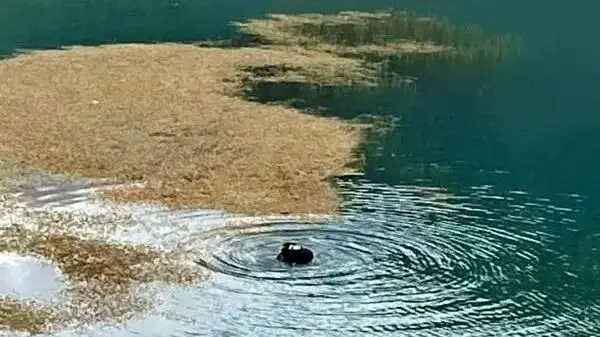 مرگ دلخراش دختر جوان در دریاچه کیو خرم آباد / او به تنهایی قایق اجاره کرده بود