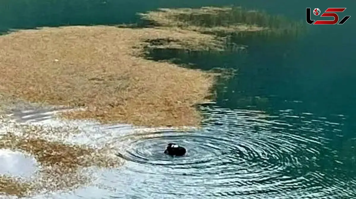 فیلم / مرگ دلخراش دختر جوان در دریاچه کیو خرم آباد / او به تنهایی قایق اجاره کرده بود