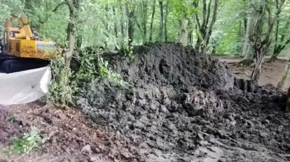 جلوی فروش خاک جنگل های شمال گرفته شد / خاک هیرکانی باید برای طرح های جنگل کاری استفاده شود 