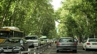 جزئیات طرح ارتقای کیفی خیابان ولیعصر (عج) / امروز در شورای شهر تهران به تصویب رسید 