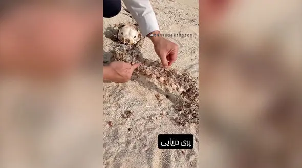 ادعای کشف بقایای پری دریایی در سواحل جنوبی ایران / صحت ماجرا تأیید نشده است