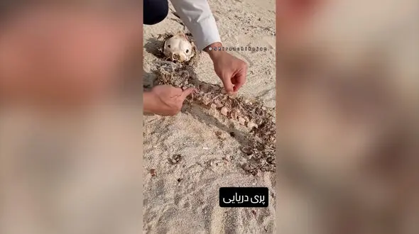 ادعای کشف بقایای پری دریایی در سواحل جنوبی ایران / صحت ماجرا تأیید نشده است
