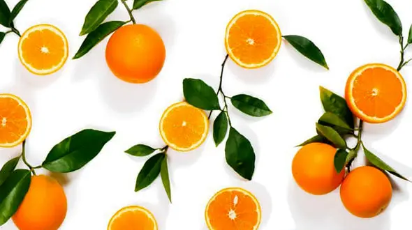 بوهای انرژی بخش کدامند؟ + فیلم