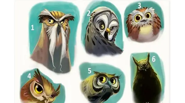 تست شخصیت شناسی / یک جغد انتخاب کن تا آینده شغلی ات را بدانی