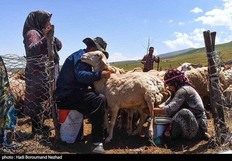 روز روستا و عشایر