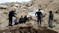 بازداشت 6 مرد در عمق زمین و در یک قدمی گنج تاریخی / در مازندران کشف شد