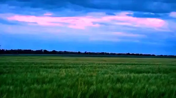 جایی که دل با نسیم آرام می گیرد