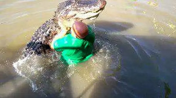 دوستی عجیب یک مرد با کروکودیل + فیلم