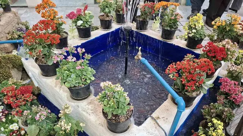 حوز - گلدان - گل های بهاری  در بازارچه قائم تجریش  
