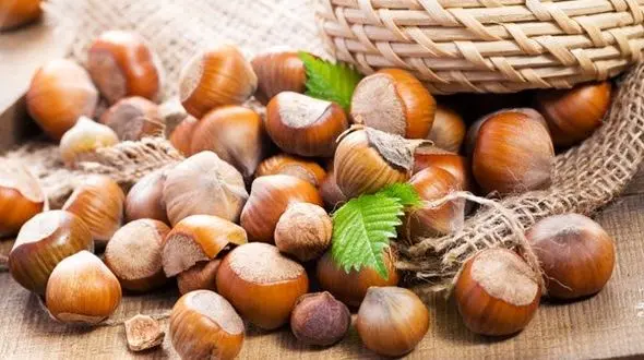 دانه ای روغنی برای سلامت قلب