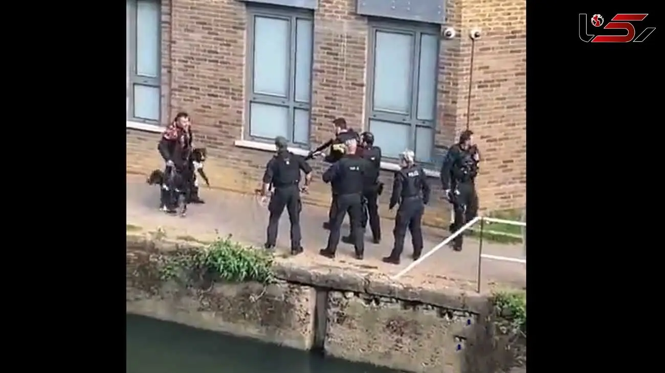 ببینید / کشتن سگ مزاحم و دستگیری صاحب سگ توسط پلیس لندن برای دفاع از حقوق شهروندی! + فیلم