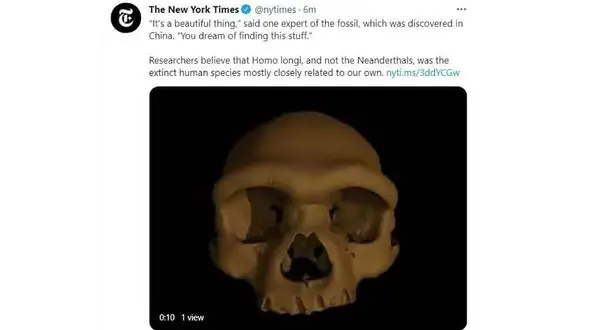 عکس / کشف جمجمه ای عجیب یک انسان در چین / مرد اژدها مغز بزرگ داشت