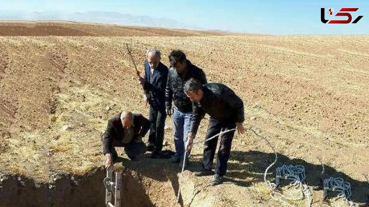 نجات یک گورکن که در چاه آبی در نهاوند کرده بود! + عکس