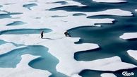 نقش انسان در ذوب شدن یخ های قطبی