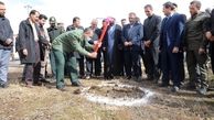 آغاز ساخت پارک بانوان الیگودرز/ بخش دیالیز بیمارستان شهید ولیان افتتاح ‌شد