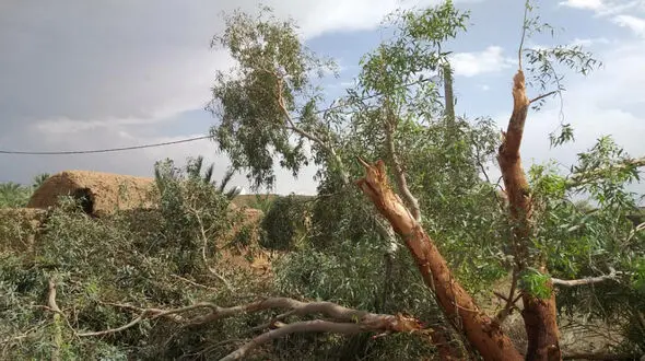 ریگان در طوفان خاک محو شد