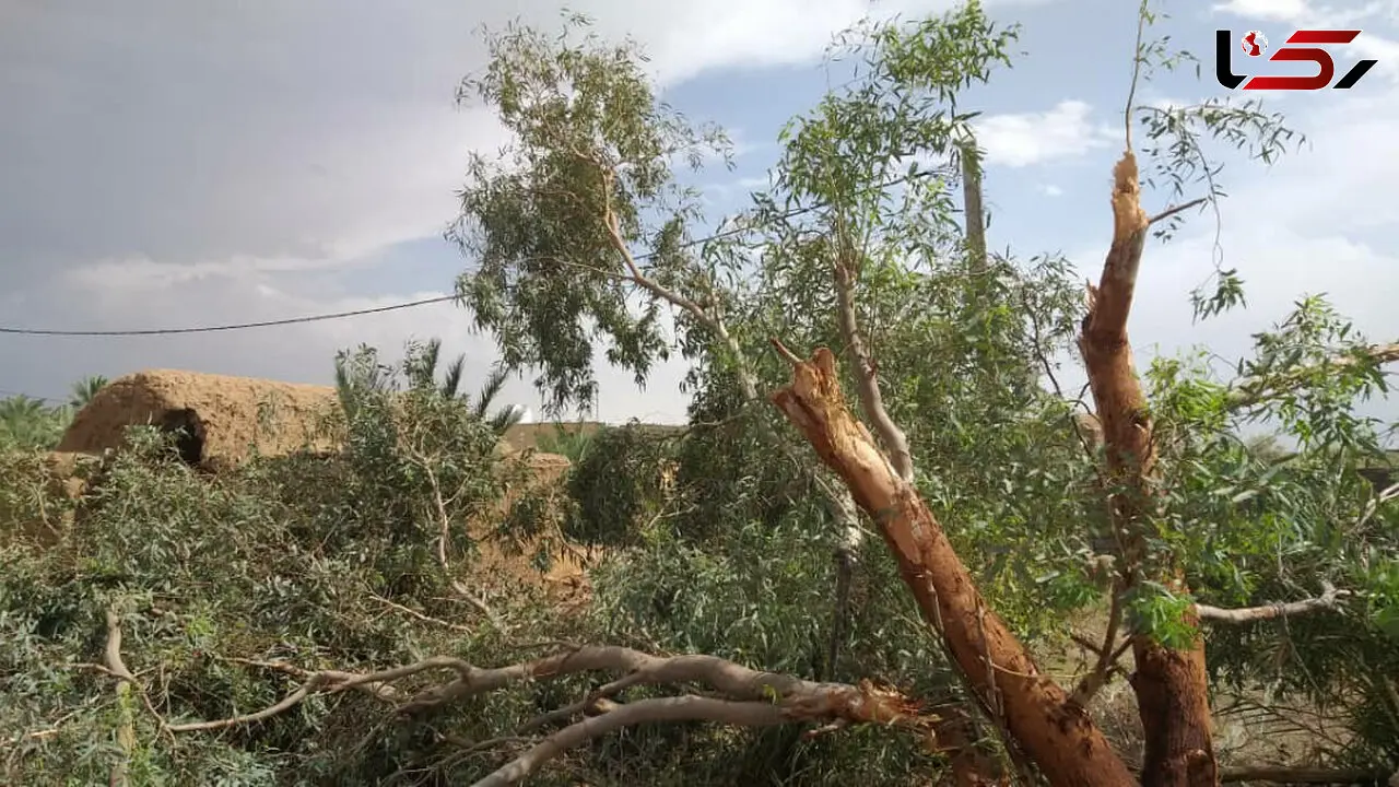 ریگان در طوفان خاک محو شد
