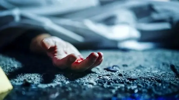 شبیخون پلیس به قاتل فراری مرتضی گرد تهران قبل از ترک ایران