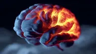 کشف هدف دارویی جدید برای بیماری شدید مغز در آتش