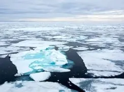 چرا قطب شمال برای انسان‌ ها قابل سکونت نیست؟