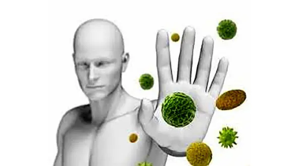 گیاهان دارویی تقویت کننده سیستم ایمنی بدن را بشناسید + اینفوگرافی