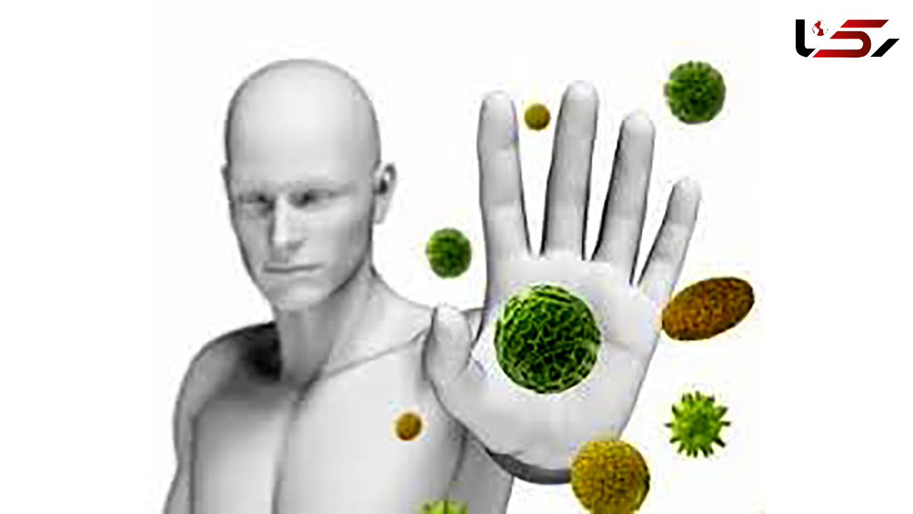 گیاهان دارویی تقویت کننده سیستم ایمنی بدن را بشناسید + اینفوگرافی