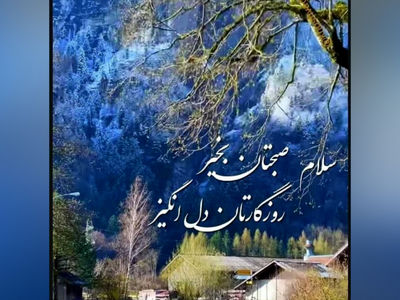 فال و طالع بینی روزانه 3 خرداد + فیلم 