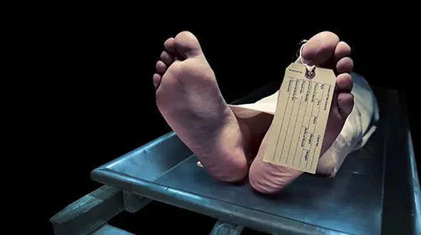 قتل عام خانوادگی به دست مرد مرموز / مادر و 3 فرزندش کشته شدند+ عکس