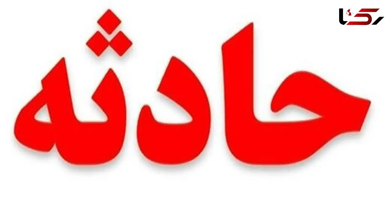 خسارت 75 هزار دلاری اردک مادر و جوجه هایش به 3 خودرو در اتوبان