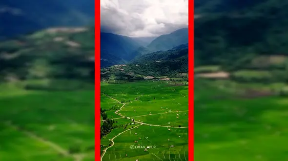 فیلم دشت سرسبز مازندران از نمای هوایی