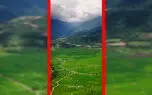 فیلم دشت سرسبز مازندران از نمای هوایی