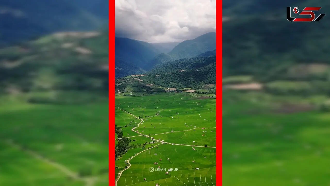 فیلم دشت سرسبز مازندران از نمای هوایی
