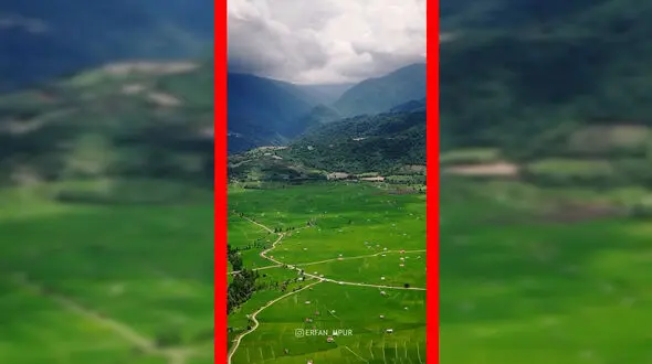 فیلم دشت سرسبز مازندران از نمای هوایی